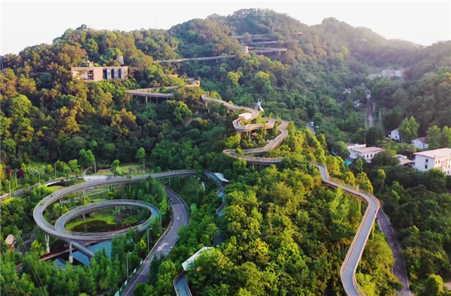 来利国际w66集团荣获两项国家级协会工程建设科学技术奖！