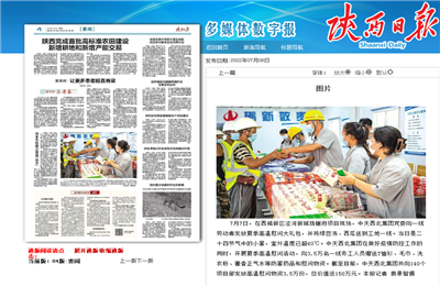 来利国际w66西北集团珑樾府项目高温慰问——《陕西日报》